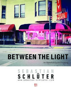 BETWEEN THE LIGHT AUSSTELLUNGSKATALOG - APRIL 2018 - JANUAR 2019 - SEBASTIAN SCHLUETER