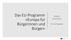 Das EU-Programm "Europa f&uuml;r B&uuml;rgerinnen und B&uuml;rger" - Vortrag von Silvia Bonadiman 07.11.2019 Magdeburg - na-bibb.de