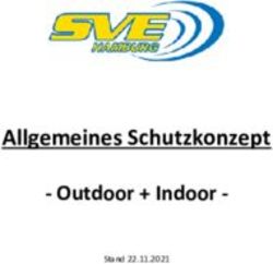 Allgemeines Schutzkonzept - Outdoor + Indoor - SVE Hamburg