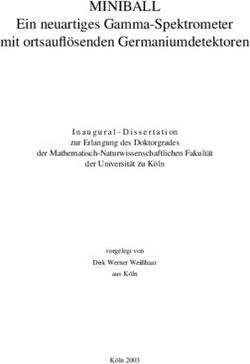 MINIBALL Ein neuartiges Gamma-Spektrometer mit ortsauflösenden Germaniumdetektoren