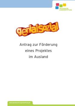Antrag zur F&ouml;rderung eines Projektes im Ausland