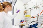 TZDONEWS - ZENTRUM F&Uuml;R WIRKSTOFFFORSCHUNG FOKUS BIOMEDIZINZENTRUMDORTMUND (BMZ) IM PORTR&Auml;T - MST.FACTORY DORTMUND