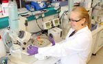 TZDONEWS - ZENTRUM F&Uuml;R WIRKSTOFFFORSCHUNG FOKUS BIOMEDIZINZENTRUMDORTMUND (BMZ) IM PORTR&Auml;T - MST.FACTORY DORTMUND