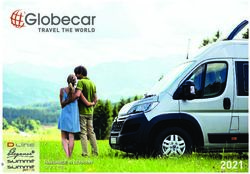 2021 HANDMADE IN GERMANY SINCE 2004 - Reisemobile von Globecar