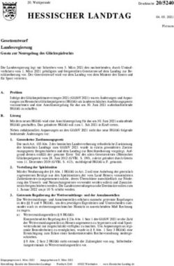 HESSISCHER LANDTAG - Land Hessen