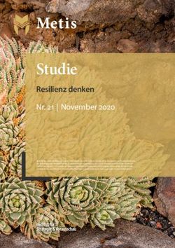 Studie Resilienz denken - Nr. 21 | November 2020