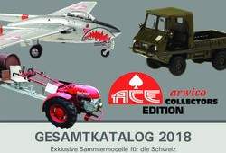 GESAMTKATALOG 2018 Exklusive Sammlermodelle f&uuml;r die Schweiz - Arwico