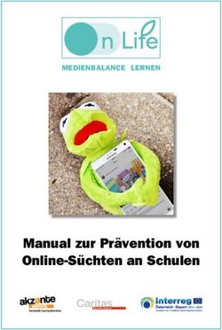 Manual zur Prävention von Online-Süchten an Schulen - MEDIENBALANCE LERNEN