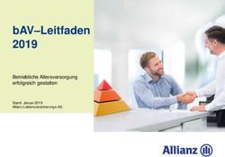 BAV-Leitfaden 2019 Betriebliche Altersversorgung erfolgreich gestalten - Stand: Januar 2019 Allianz Lebensversicherungs-AG - netzn