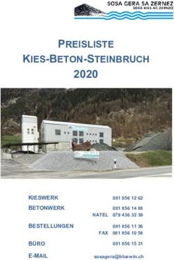 KIES-BETON-STEINBRUCH - PREISLISTE 2020 - Sosa Gera SA Zernez
