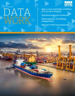 WORK NO. 70 JUNI 2020 DATA - Wege zu einer nachhaltigen Schifffahrt: Zero Emission Shipping - OFFIS