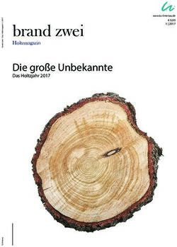 Brand zwei Die gro&szlig;e Unbekannte - Holtzmagazin - LUOVA FILMS