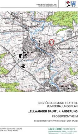 BEGR&Uuml;NDUNG UND TEXTTEIL ZUM BEBAUUNGSPLAN - "ELLWANGER BAUM", 4. &Auml;NDERUNG