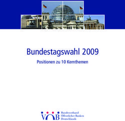Bundestagswahl 2009 Positionen zu 10 Kernthemen