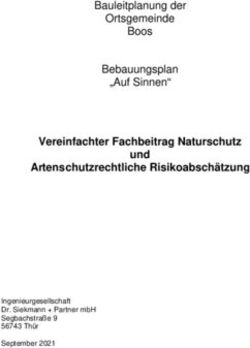 Vereinfachter Fachbeitrag Naturschutz Und Artenschutzrechtliche ...