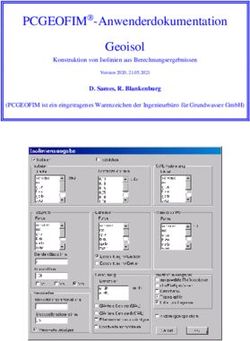 PCGEOFIM -Anwenderdokumentation Geoisol - Ingenieurbüro für Grundwasser GmbH