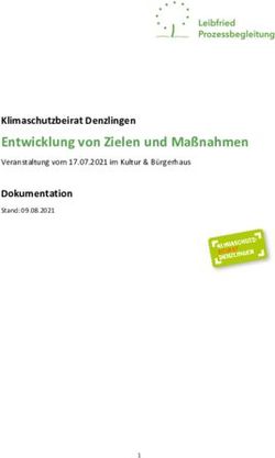 Entwicklung von Zielen und Maßnahmen - Klimaschutzbeirat Denzlingen Dokumentation - Gemeinde ...