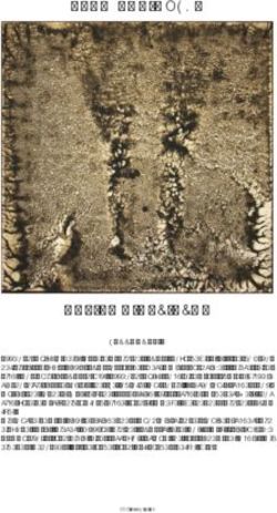 EKKELAND GÖTZE - DAS BILD DER ERDE - Ekkeland Götze