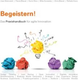 Begeistern! Das Praxishandbuch f&uuml;r agile Innovation