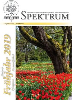 Spektrum Ausgabe 1 / 2019 M&auml;rz bis Mai - evangelische Kirche ...
