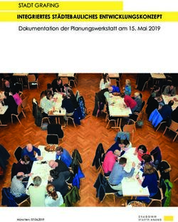 INTEGRIERTES ST&Auml;DTEBAULICHES ENTWICKLUNGSKONZEPT - STADT GRAFING Dokumentation der Planungswerkstatt am 15. Mai 2019
