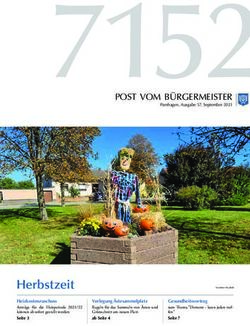 Herbstzeit - Gemeinde Pamhagen