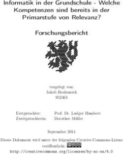 Informatik in der Grundschule - Welche Kompetenzen sind bereits in der Primarstufe von Relevanz?