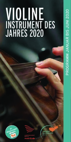 VIOLINE INSTRUMENT DES JAHRES 2020 - Landesmusikrat Berlin