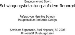 Schwingungsbelastung auf dem Rennrad - Ergonomie und Sport Referat von Henning Schnurr Hauptstudium Industrie-Design Seminar: Ergonomie, Axel ...