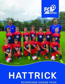 HATTRICK R&Uuml;CKRUNDE SAISON 19/20 - FC Spiez