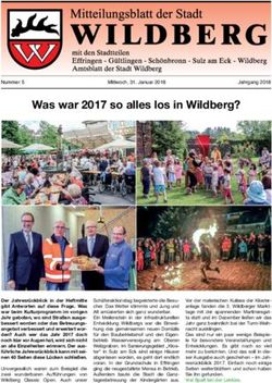 Was war 2017 so alles los in Wildberg? - Stadt Wildberg