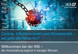 Web-Seminar - Corona, Inflationsrisiken und Klimawandel - wo geht die Reise hin? Willkommen bei der IKB- IKB Blog
