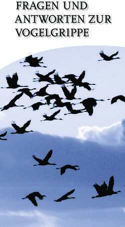 FRAGEN UND ANTWORTEN ZUR VOGELGRIPPE - Bundes&auml;rztekammer