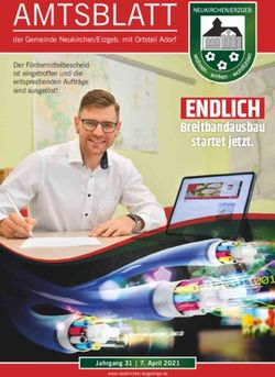 ENDLICH Breitbandausbau startet jetzt - AMTSBLATT - Gemeinde Neukirchen/Erzgeb.