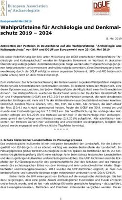 Wahlprüfsteine für Archäologie und Denkmal-schutz 2019 2024