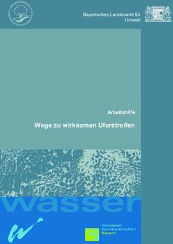Wege zu wirksamen Uferstreifen - Arbeitshilfe - Bayerisches Landesamt f&uuml;r Umwelt - Bayerisches ...