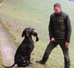 Drei Grundsätze im Umgang mit Jagdwaff en verhindern Unfälle - Berner Jägerverband
