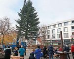 Wieder ein sch&ouml;ner Weihnachtsbaum auf dem H&ouml;gebrunnenplatz - Stadt Freiburg