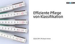 EFFIZIENTE PFLEGE VON KLASSIFIKATION - SDZECOM | MICHAEL IRMEN