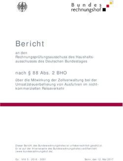 Bericht - Bundesrechnungshof