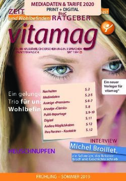 MEDIADATEN & TARIFE 2020 PRINT + DIGITAL - Verticalizer