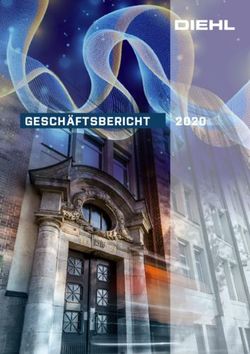 GESCH&Auml;FTSBERICHT 2020 - Diehl
