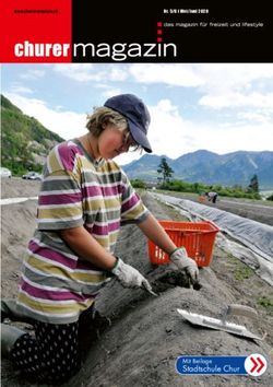 Stadtschule Chur " - Nr. 5/6 I Mai/Juni 2020 - Mit Beilage - Churer Magazin