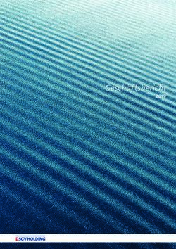 Gesch&auml;ftsbericht 2019 - Lake Lucerne