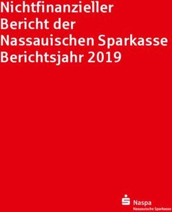 Nichtfinanzieller Bericht der Nassauischen Sparkasse Berichtsjahr 2019