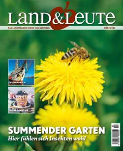 SUMMENDER GARTEN HIER F&Uuml;HLEN SICH INSEKTEN WOHL - DAS LANDMAGAZIN IHRER TAGESZEITUNG - RTV MEDIA SOLUTIONS