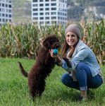 WEST SIGHT STORY 09 TIERISCH GUT! - City West