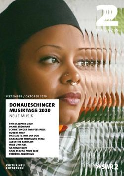 DONAUESCHINGER MUSIKTAGE 2020 - NEUE MUSIK - SWR