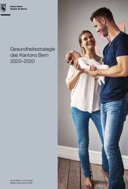 Gesundheitsstrategie des Kantons Bern 2020-2030