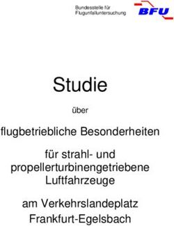 Studie flugbetriebliche Besonderheiten f&uuml;r strahl- und propellerturbinengetriebene Luftfahrzeuge am Verkehrslandeplatz Frankfurt-Egelsbach - BFU